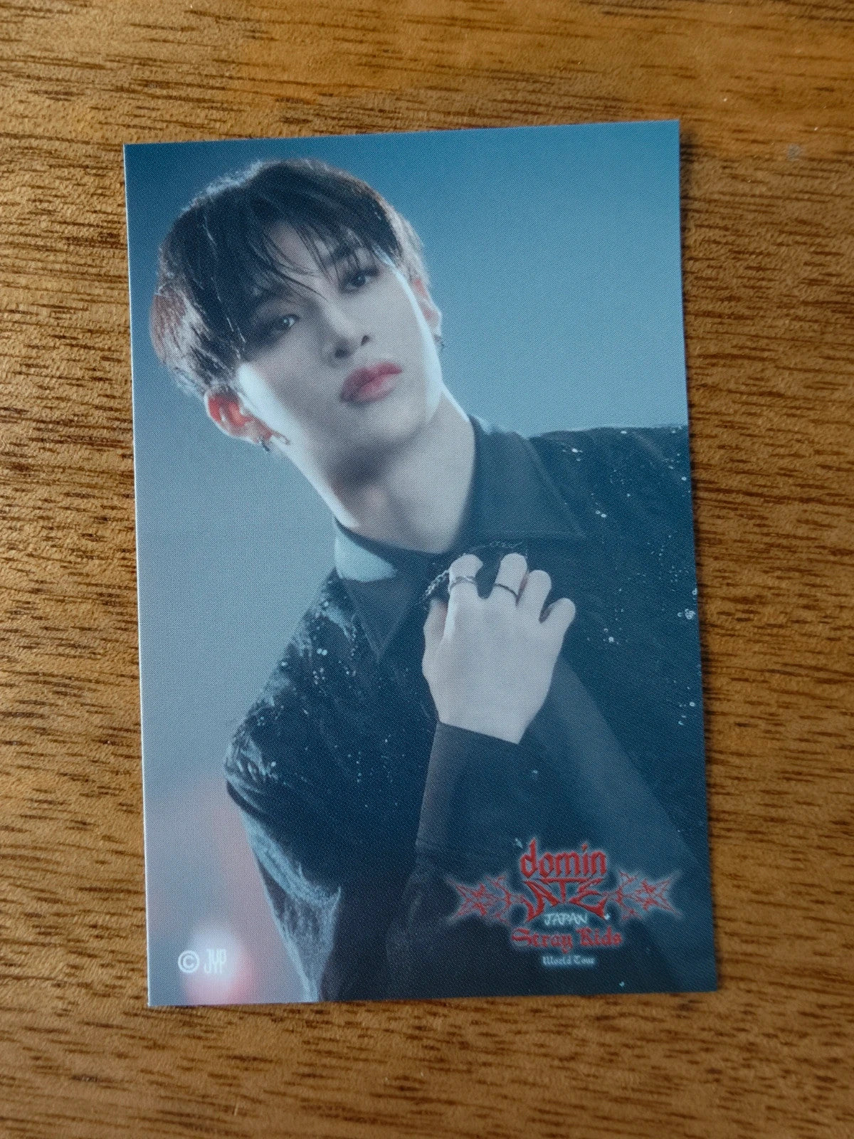 Stray Kids Bang Chan dominATE in Japan 2024 Photo Sticker (Venue Lottery) — printed photo side