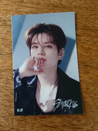 Stray Kids Seungmin 5-STAR Dome Tour 2023 Photo Sticker (Venue Lottery) — printed photo design