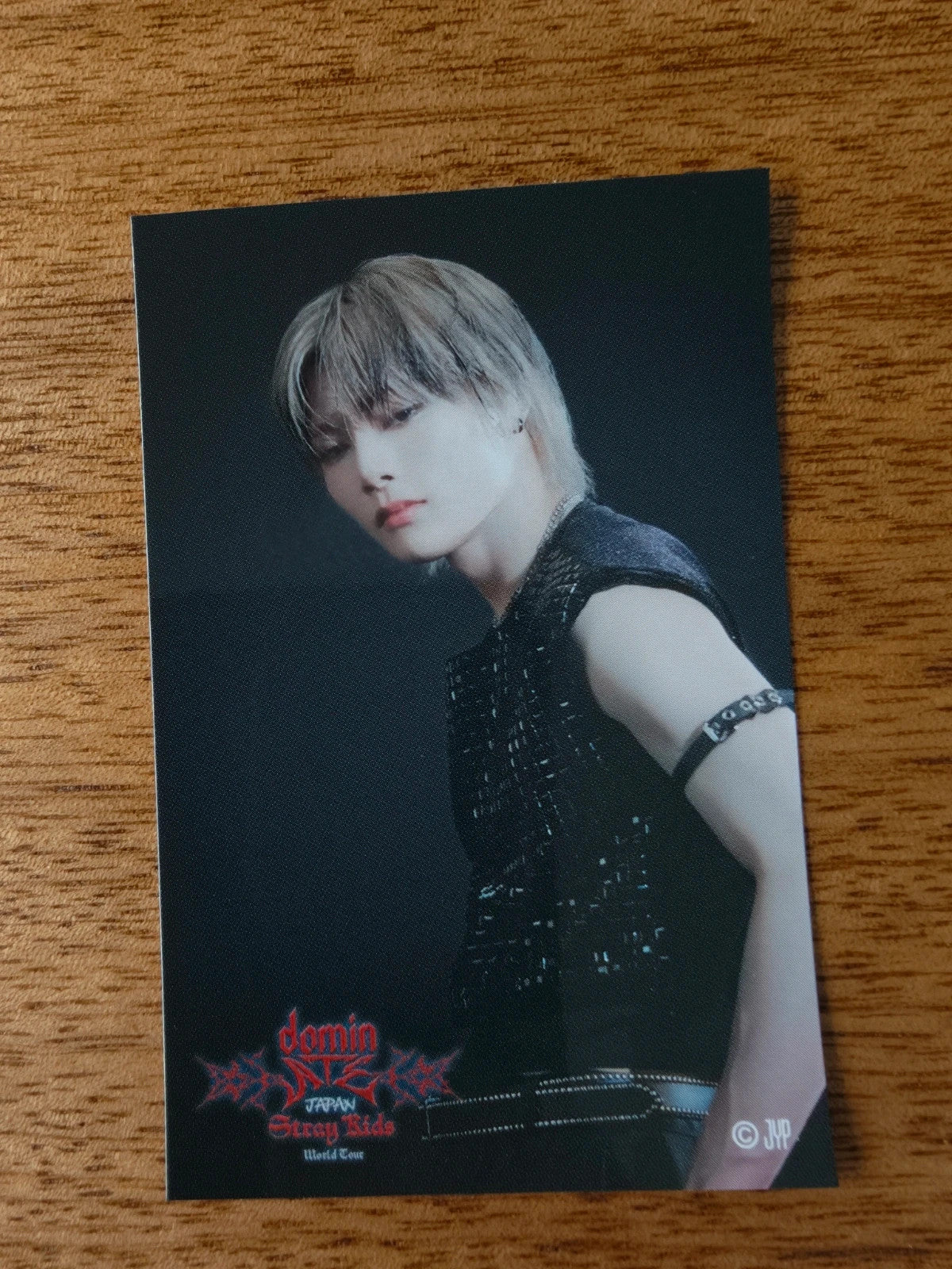 Stray Kids I.N dominATE Japan 2024 Photo Sticker (Venue Lottery) — printed photo design