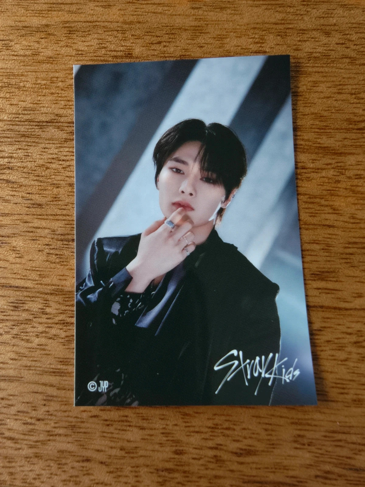 Stray Kids I.N 5-STAR Dome Tour 2023 Photo Sticker (Venue Lottery) — printed photo design