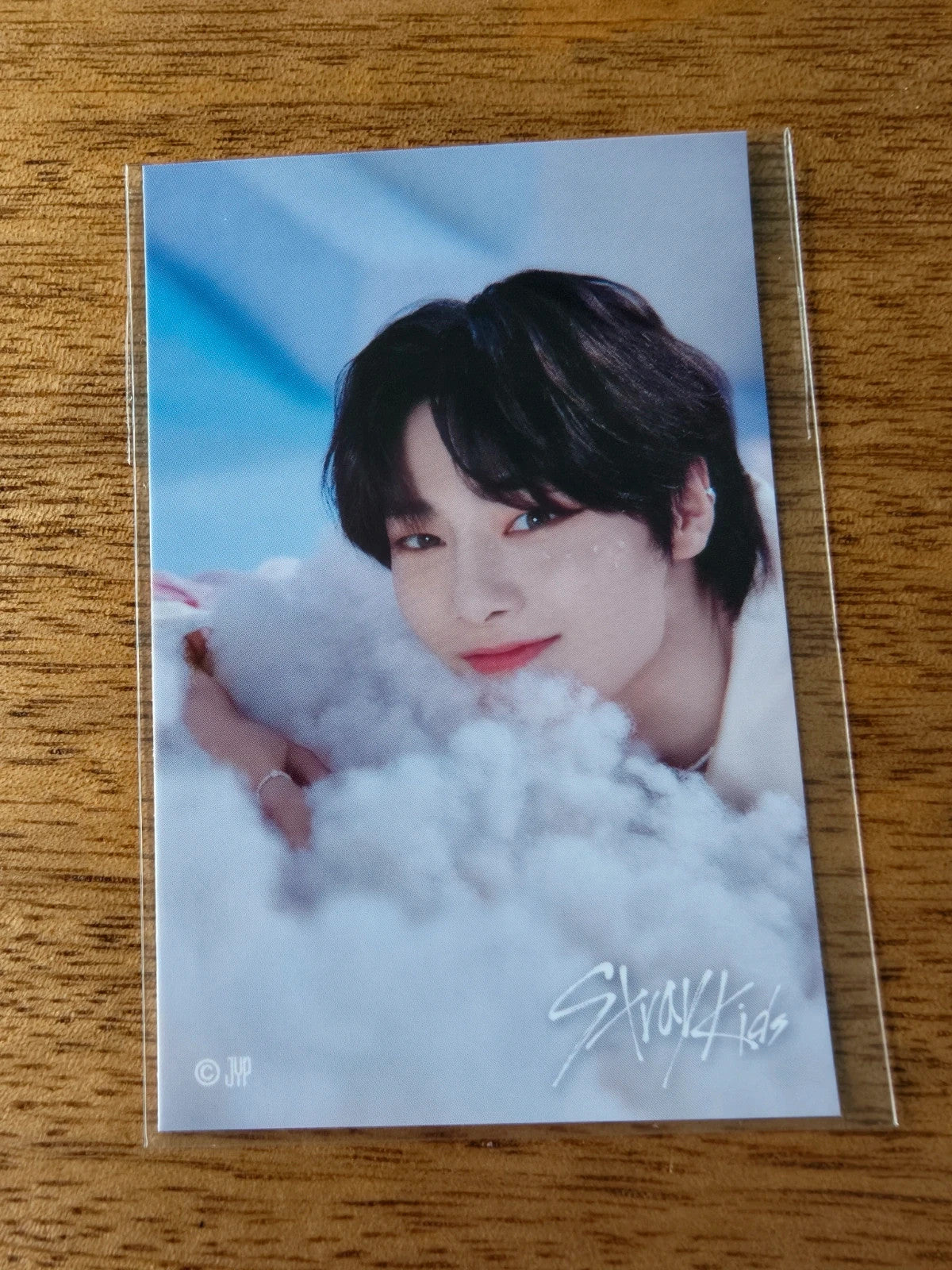Stray Kids I.N 5-STAR Dome Tour 2023 Photo Sticker (Online Lottery B) — printed photo design