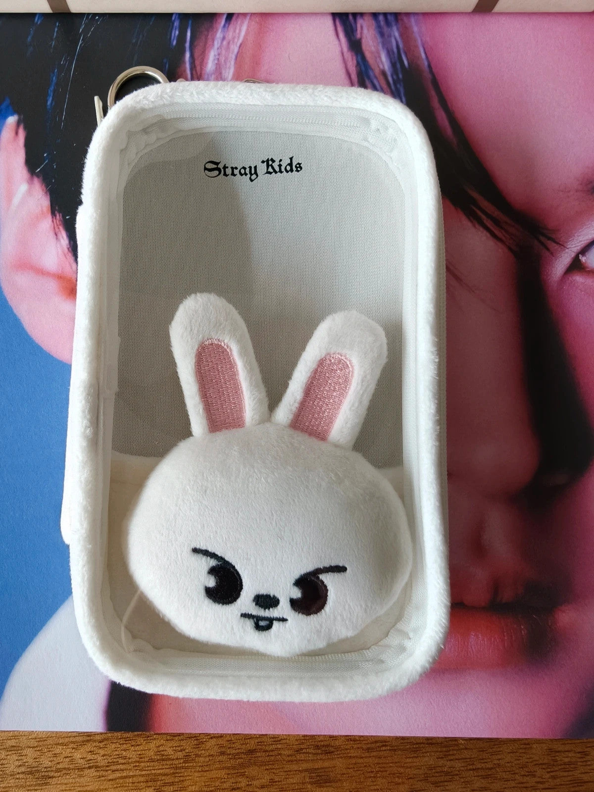 Stray Kids SKZOO Leebit Acrylic Stand Case (dominATE JAPAN) — front view