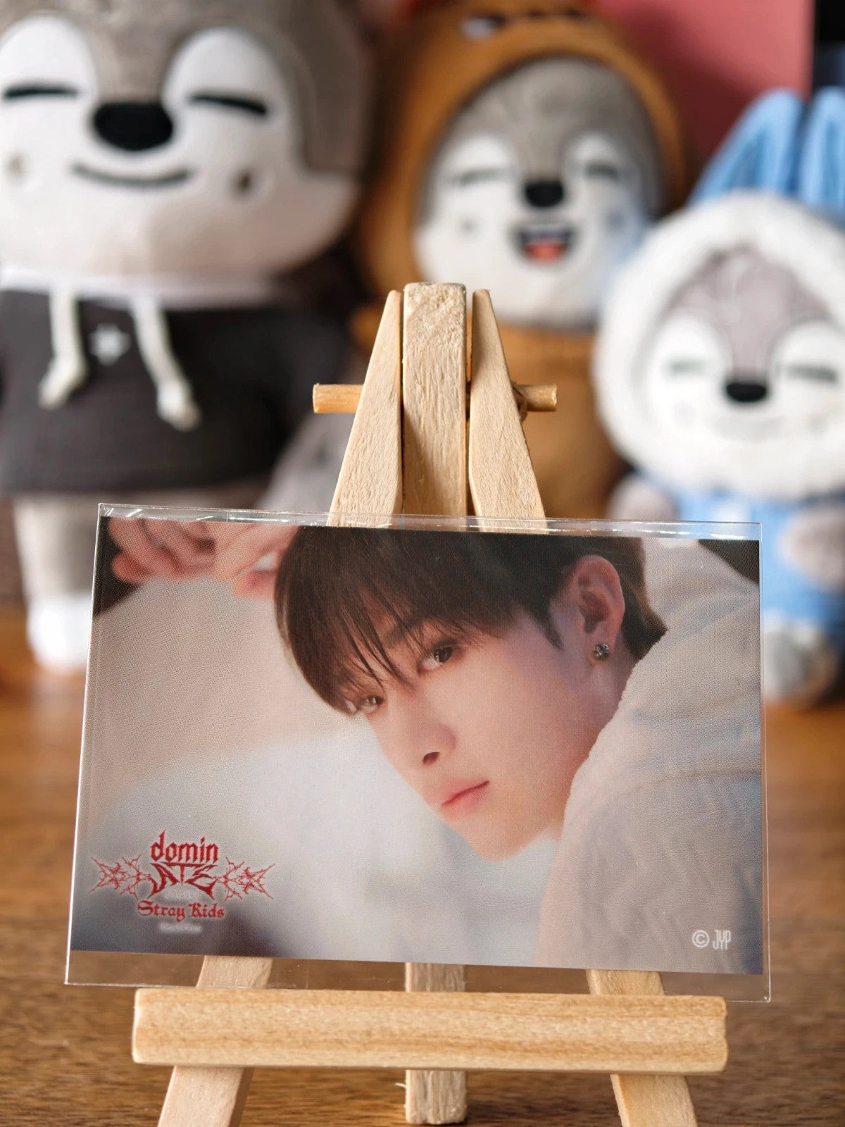 Stray Kids Bang Chan dominATE in Japan 2024 Photo Sticker (Online Lottery, Landscape Design) — printed photo side