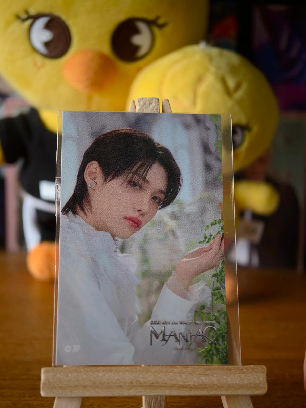 Stray Kids Felix MANIAC ENCORE in Japan Photo Sticker (Online Lottery, A Design) — printed photo side
