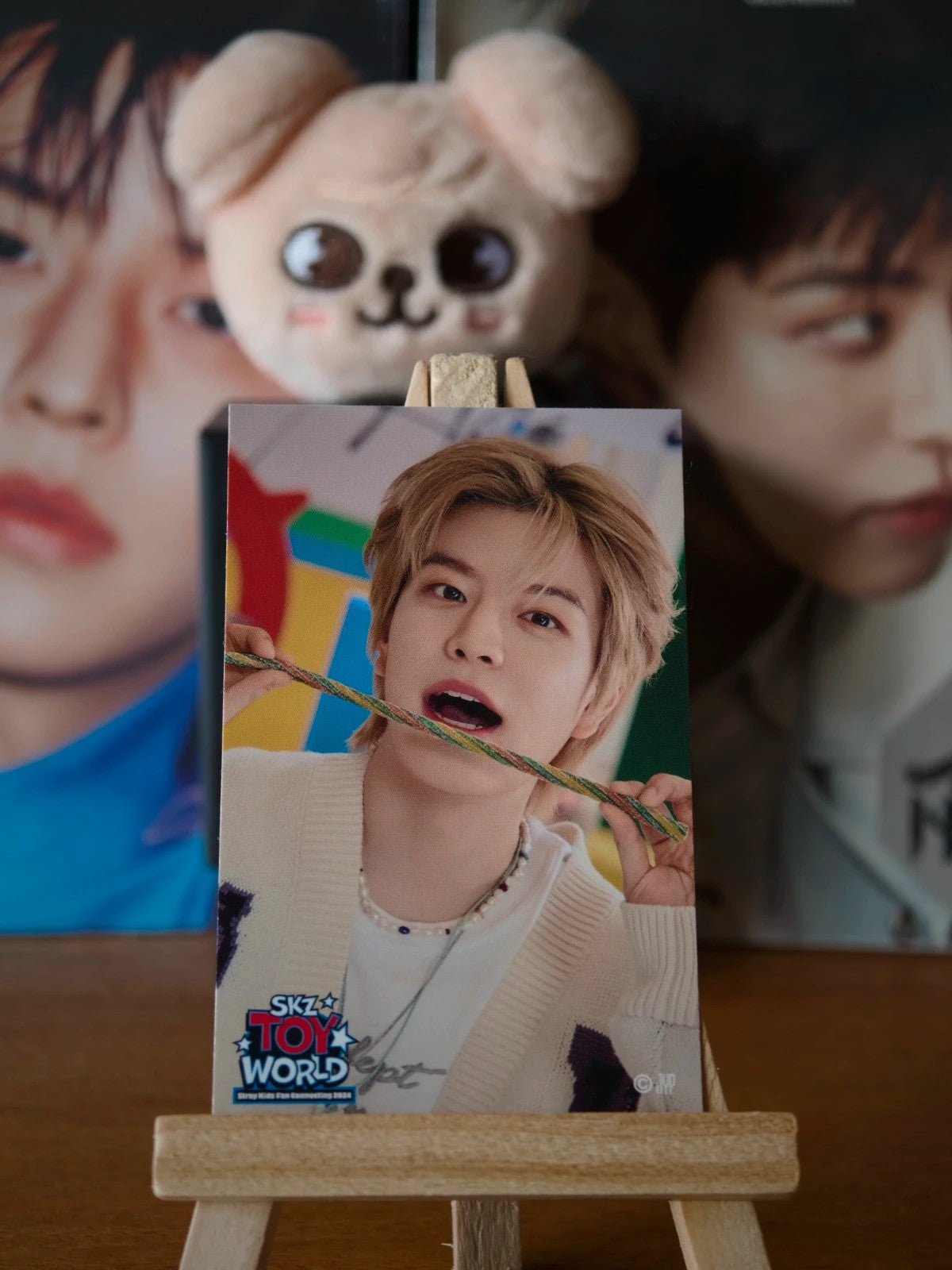 Stray Kids Seungmin SKZ TOY WORLD Photo Sticker (Venue Lottery, A Design) — printed photo side