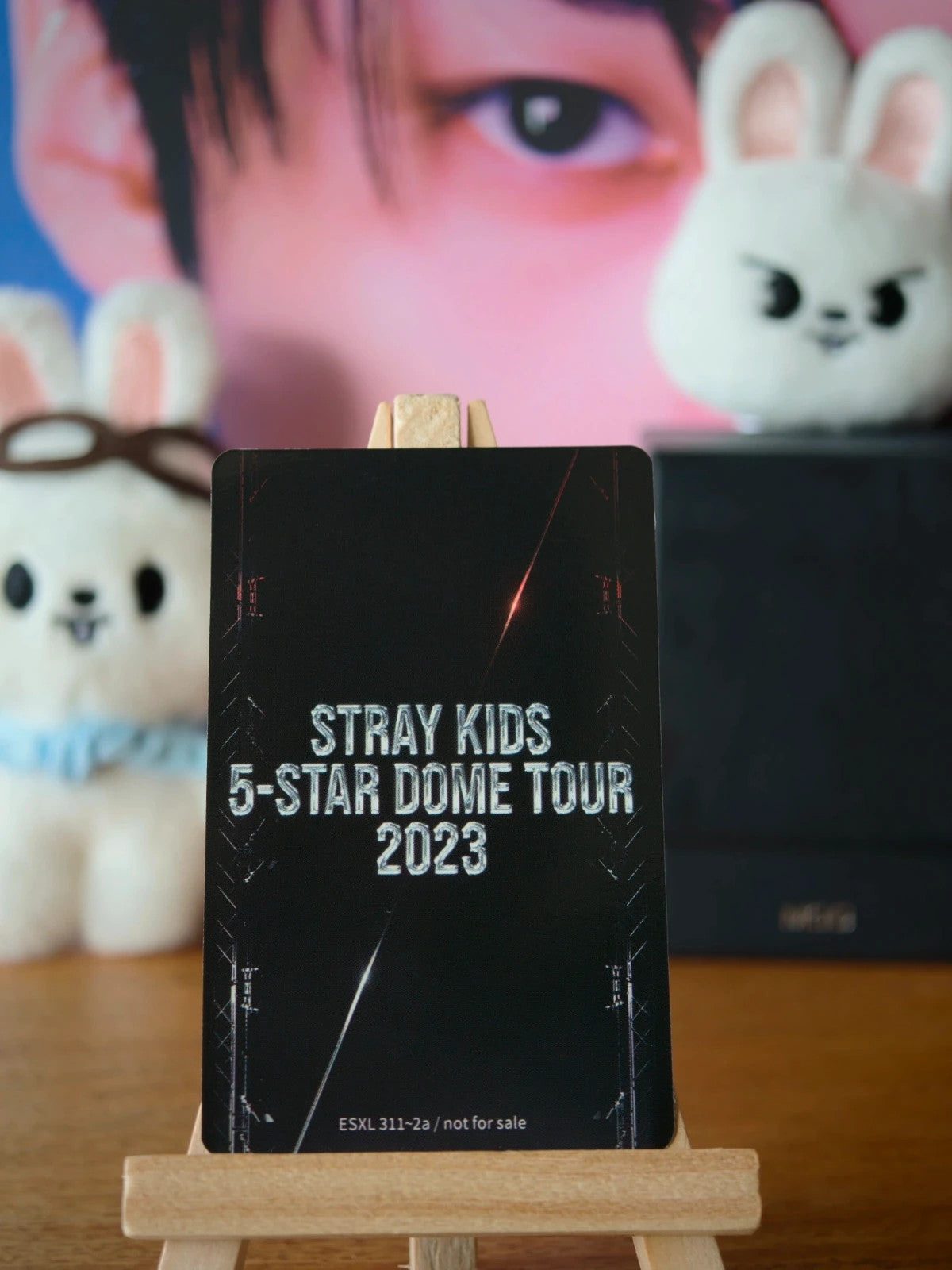 Stray Kids Lee Know 5-STAR Dome Tour 2023 Photocard (Limited Blu-ray) — reverse