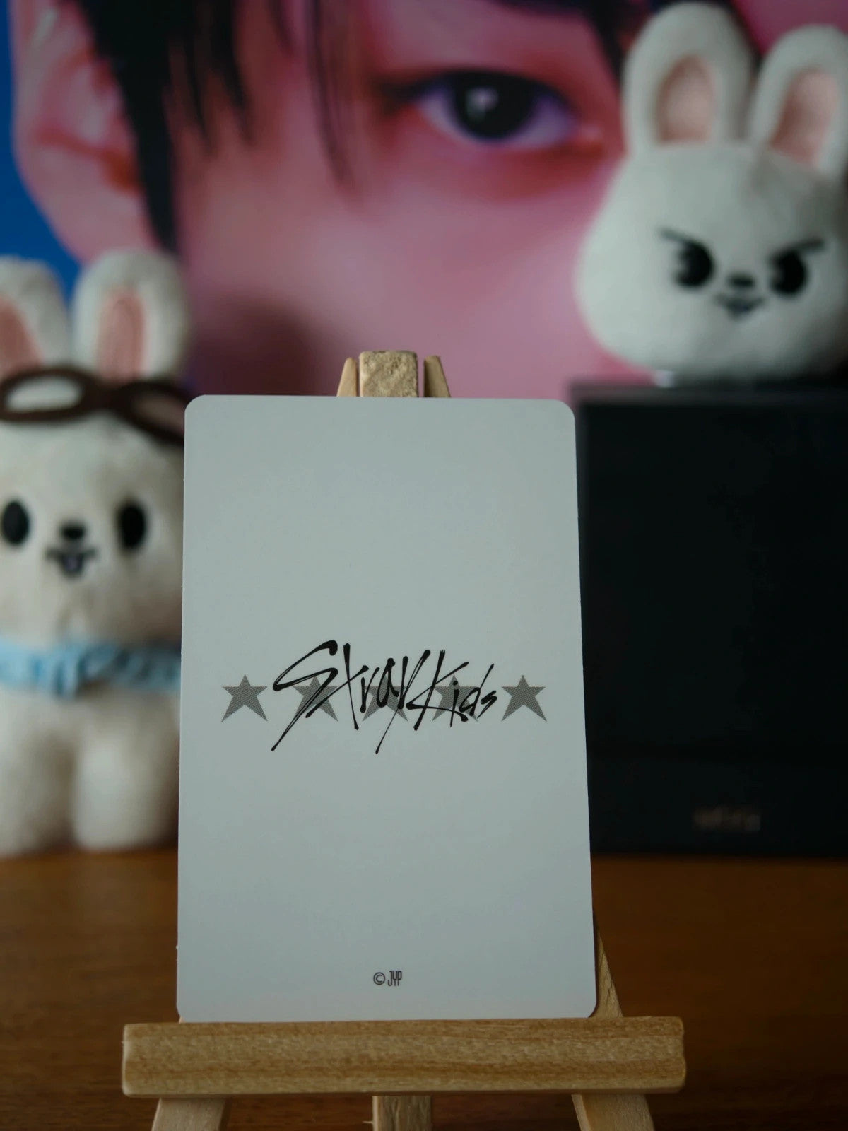 Stray Kids Lee Know 5-STAR Dome Tour 2023 Polaroid-style Photocard (Photocard Set A) — reverse
