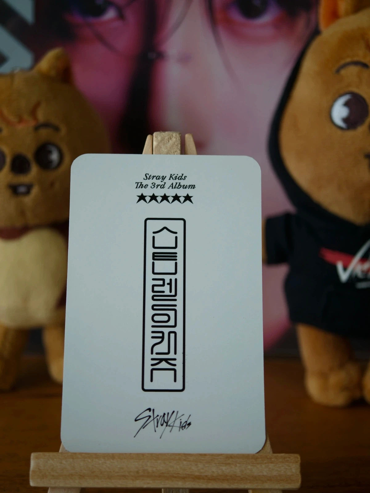 Stray Kids Han 5-STAR Photocard (YES24 POB) — reverse