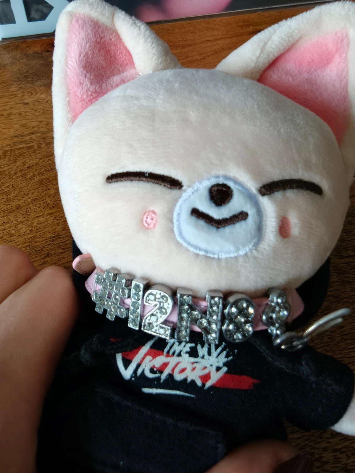 Stray Kids SKZOO FoxI.Ny Plush (Victory), front of the fox plush wearing the Victory shirt