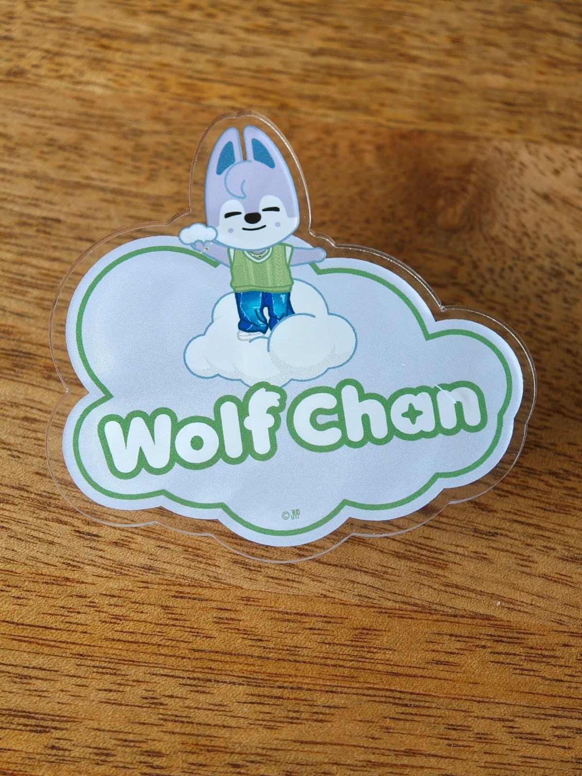 Stray Kids SKZOO Wolf Chan Name Badge (5-STAR Tokyo Dome) — front view