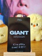 Stray Kids Felix GIANT Photocard (Limited Album, A Design) — reverse
