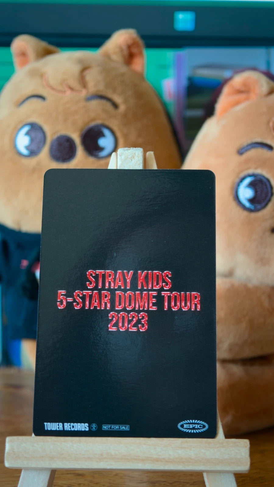 Stray Kids Han 5-STAR Dome Tour 2023 Photocard (Blu-ray Tower Records POB) — reverse