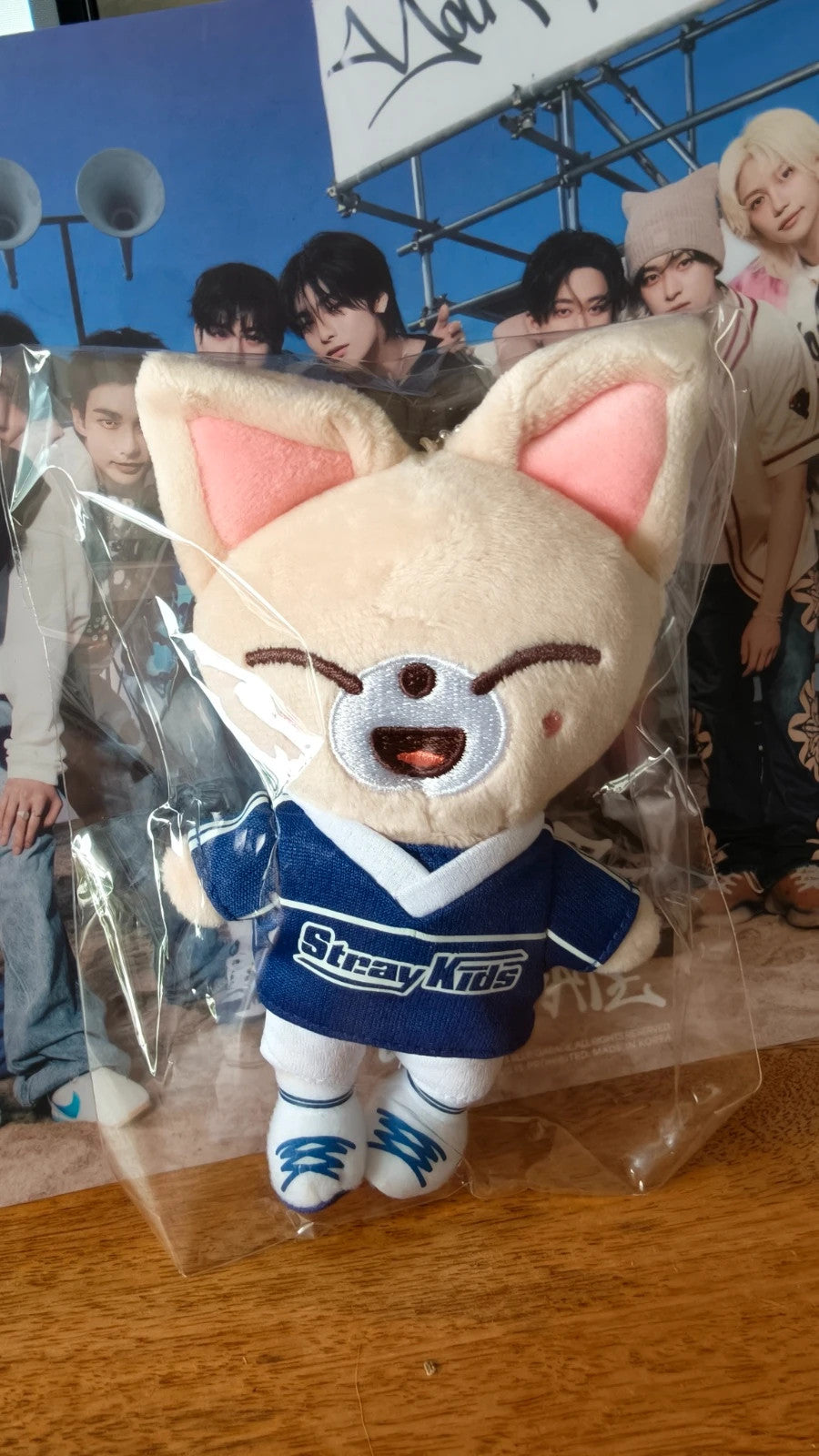 Stray Kids SKZOO FoxI.Ny Plush Bag Charm (JYP JAPAN POPUP STORE 2024) — front view