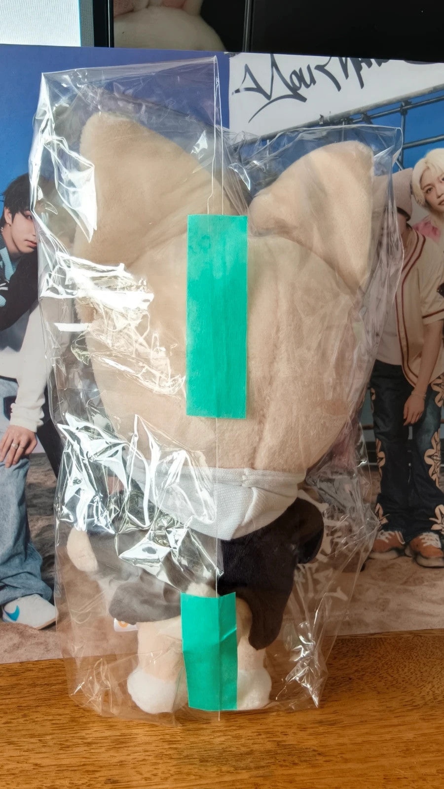 Stray Kids SKZOO FoxI.Ny Plush — additional view