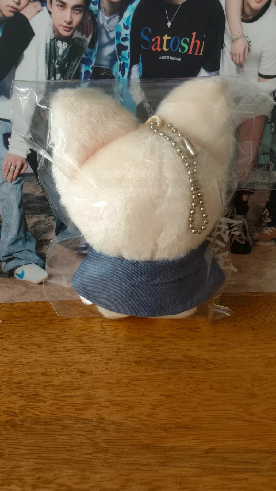 Stray Kids SKZOO FoxI.Ny Plush (MAGIC SCHOOL), back of the plush showing hat and outfit
