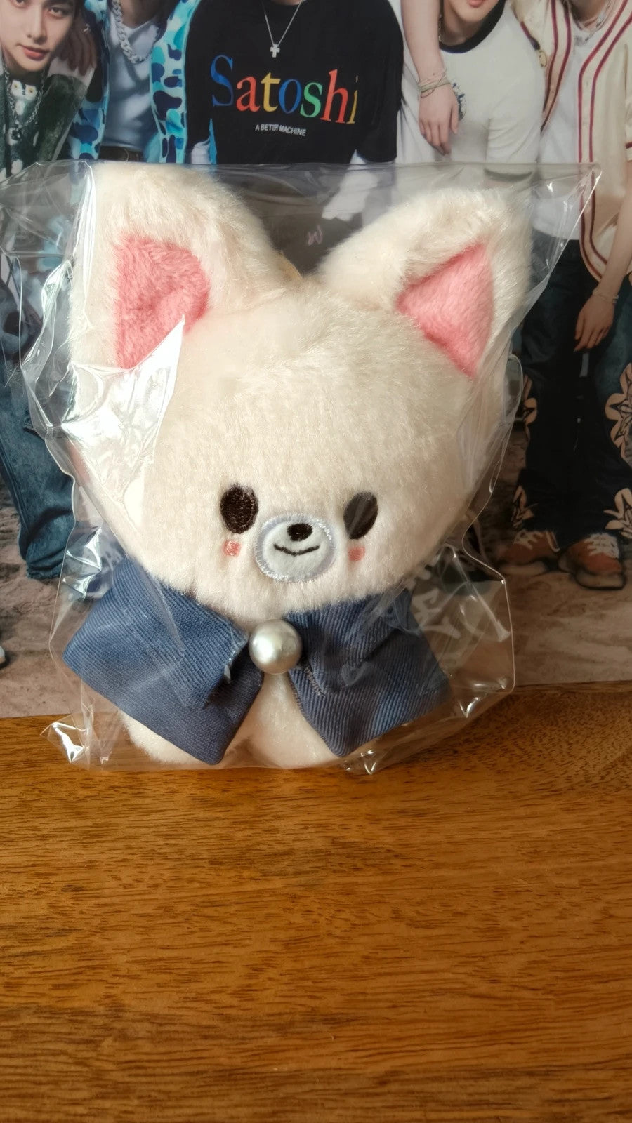 Stray Kids SKZOO FoxI.Ny Plush (MAGIC SCHOOL) — additional view