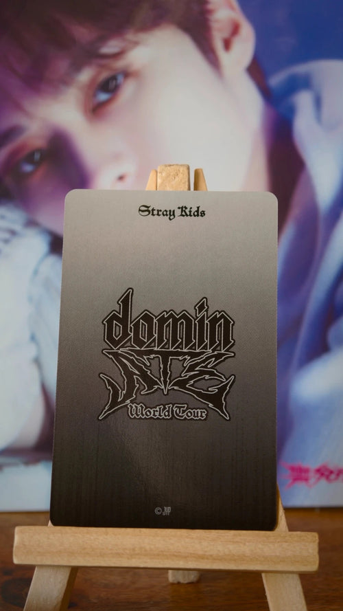 Stray Kids Lee Know dominATE in Japan Stadium 2025 Photocard (Random Trading Card, Regular Design) — reverse