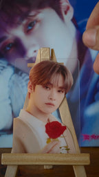 Stray Kids Lee Know Photocard (Rose Portrait) — rose portrait view