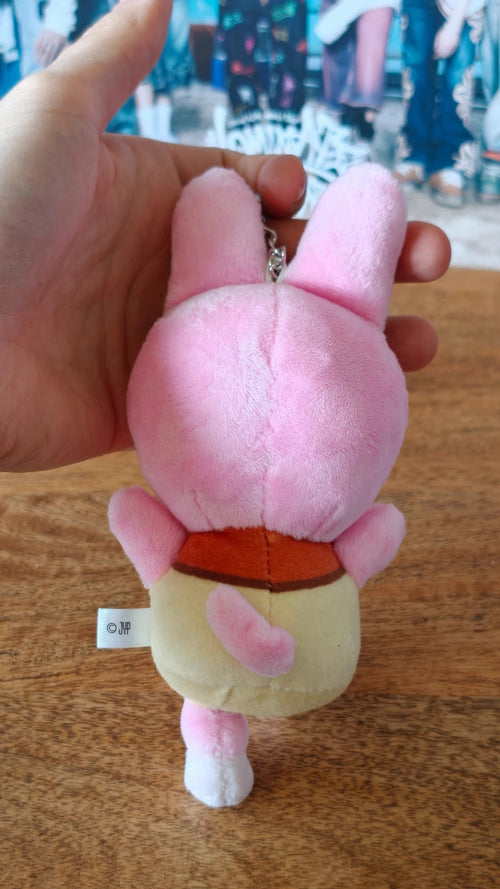 Stray Kids SKZOO DWAEKKI Plush Keyring — additional view