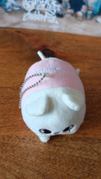 Stray Kids SKZOO Jiniret Plush Keyring — additional view