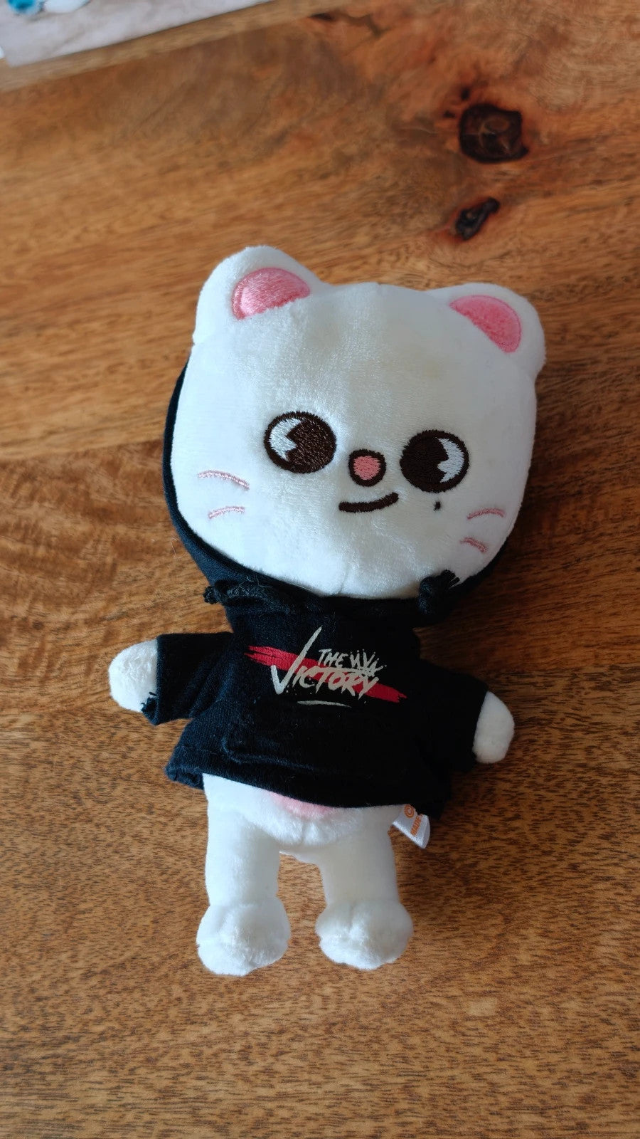 Stray Kids SKZOO Jiniret Plush (Victory) — front view