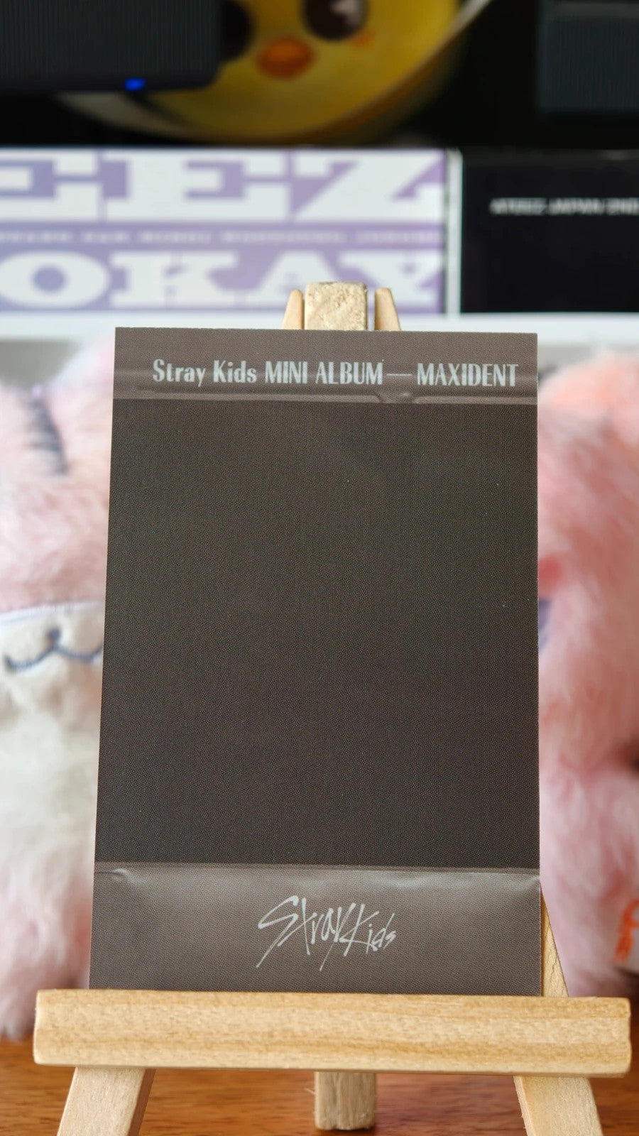 Stray Kids Changbin MAXIDENT Photocard (Album Polaroid-style) — reverse