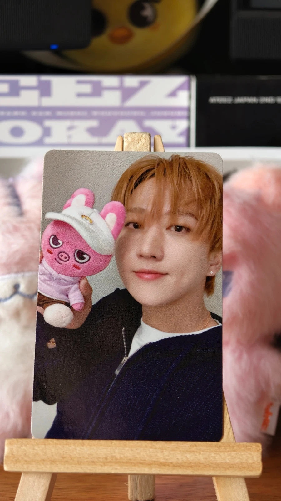 Stray Kids Changbin SKZOO × ZOOTOPIA 2 Photocard (Plush Portrait) — portrait front design
