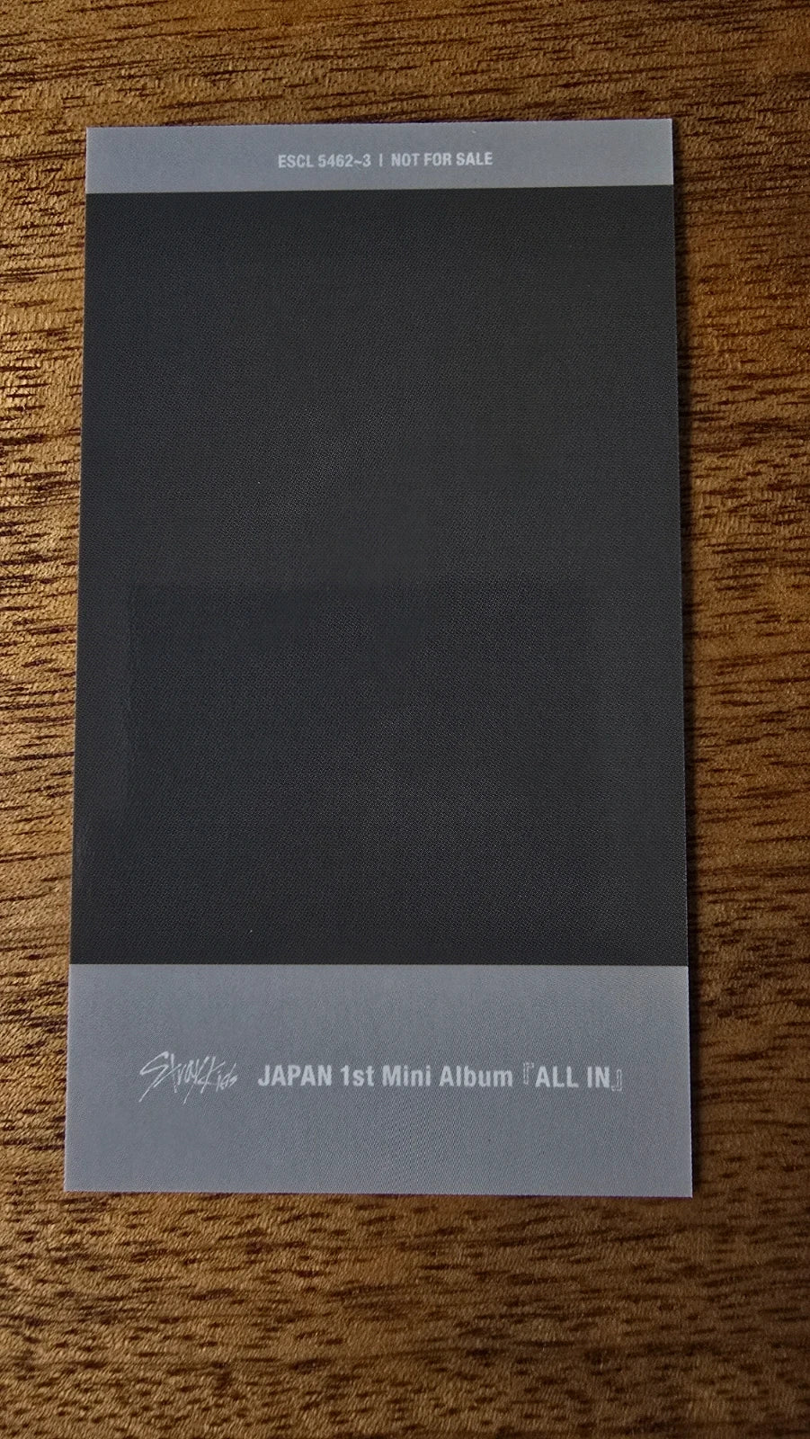 Stray Kids All In Photocard Felix, grey printed card reverse