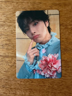 Stray Kids I.N Photocard Hollow POB Tower Records, portrait in a blue outfit holding flowers