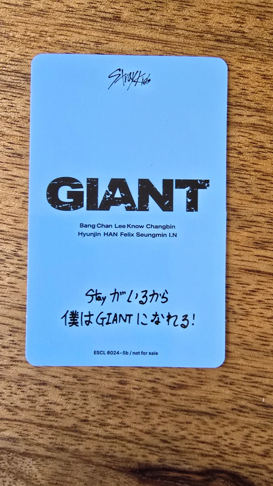 Stray Kids I.N GIANT Photocard (Limited Album, B Design), reverse of photocard