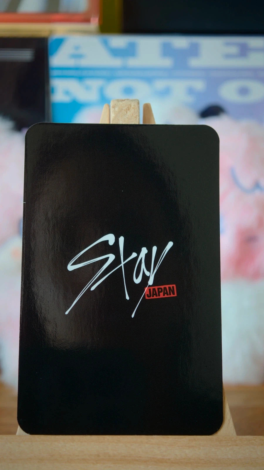 Stray Kids Bang Chan STAY JAPAN Photocard (Fanclub Renewal) — black STAY JAPAN reverse