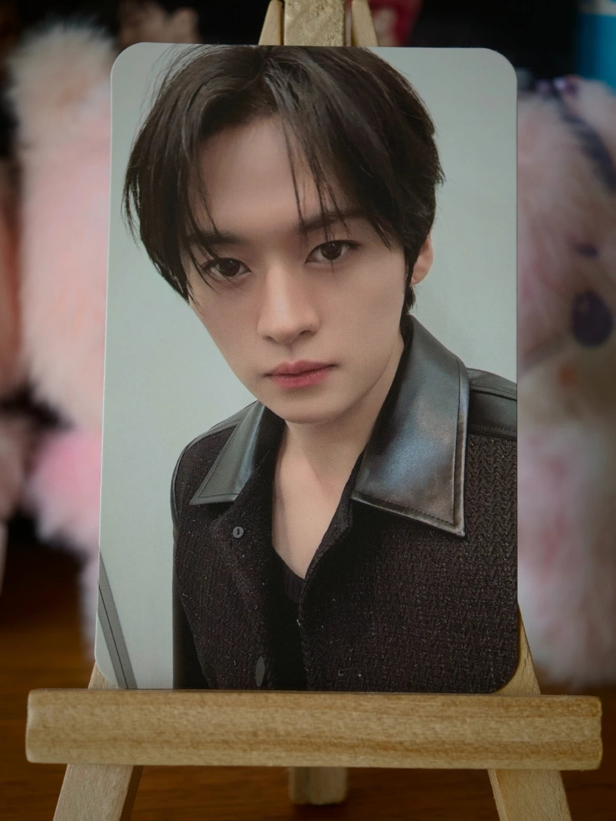 Stray Kids Lee Know STAY JAPAN Photocard (Fanclub Renewal) — portrait design
