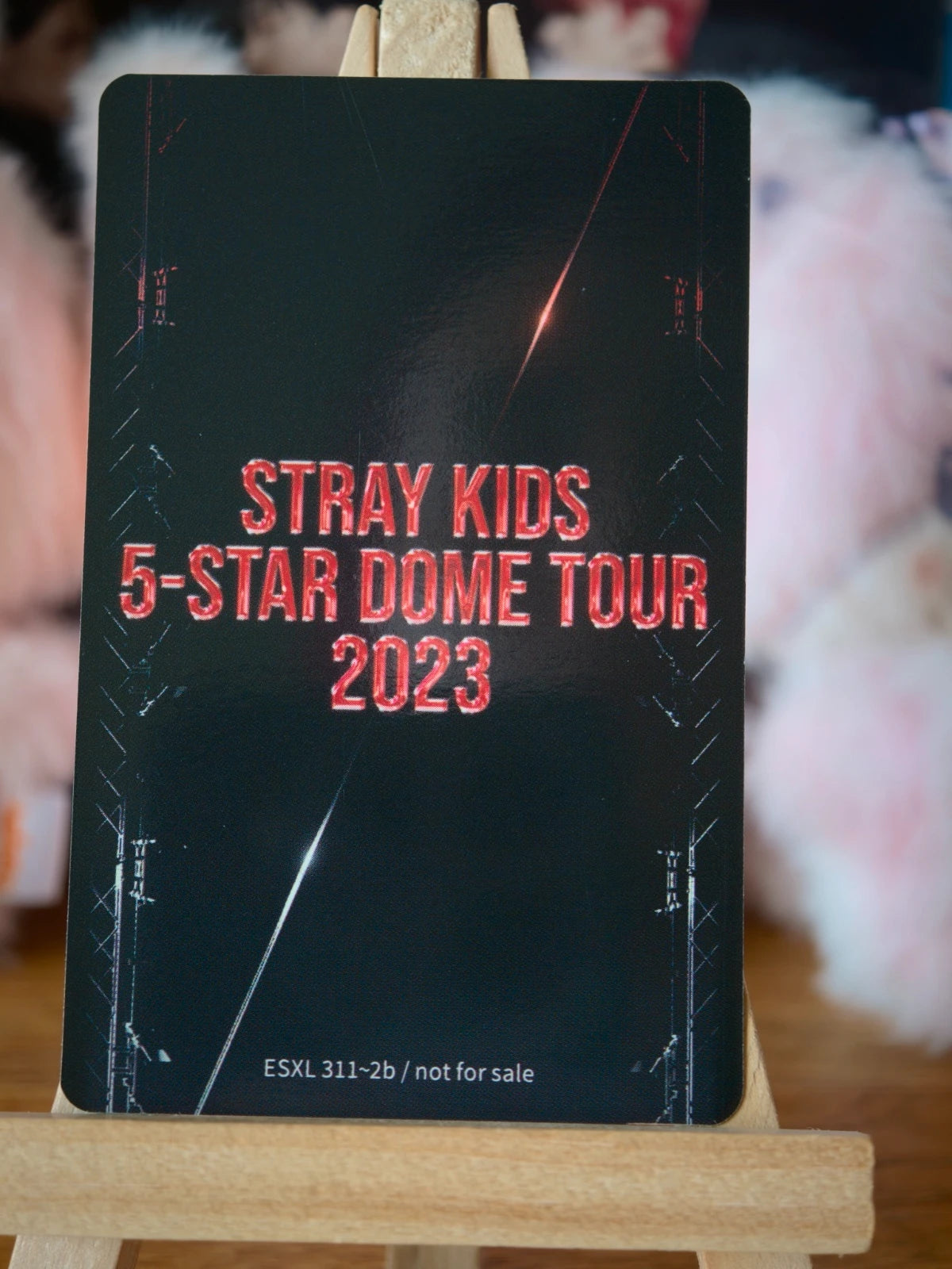Stray Kids Lee Know 5-STAR Dome Tour 2023 Photocard (Limited Blu-ray) — reverse