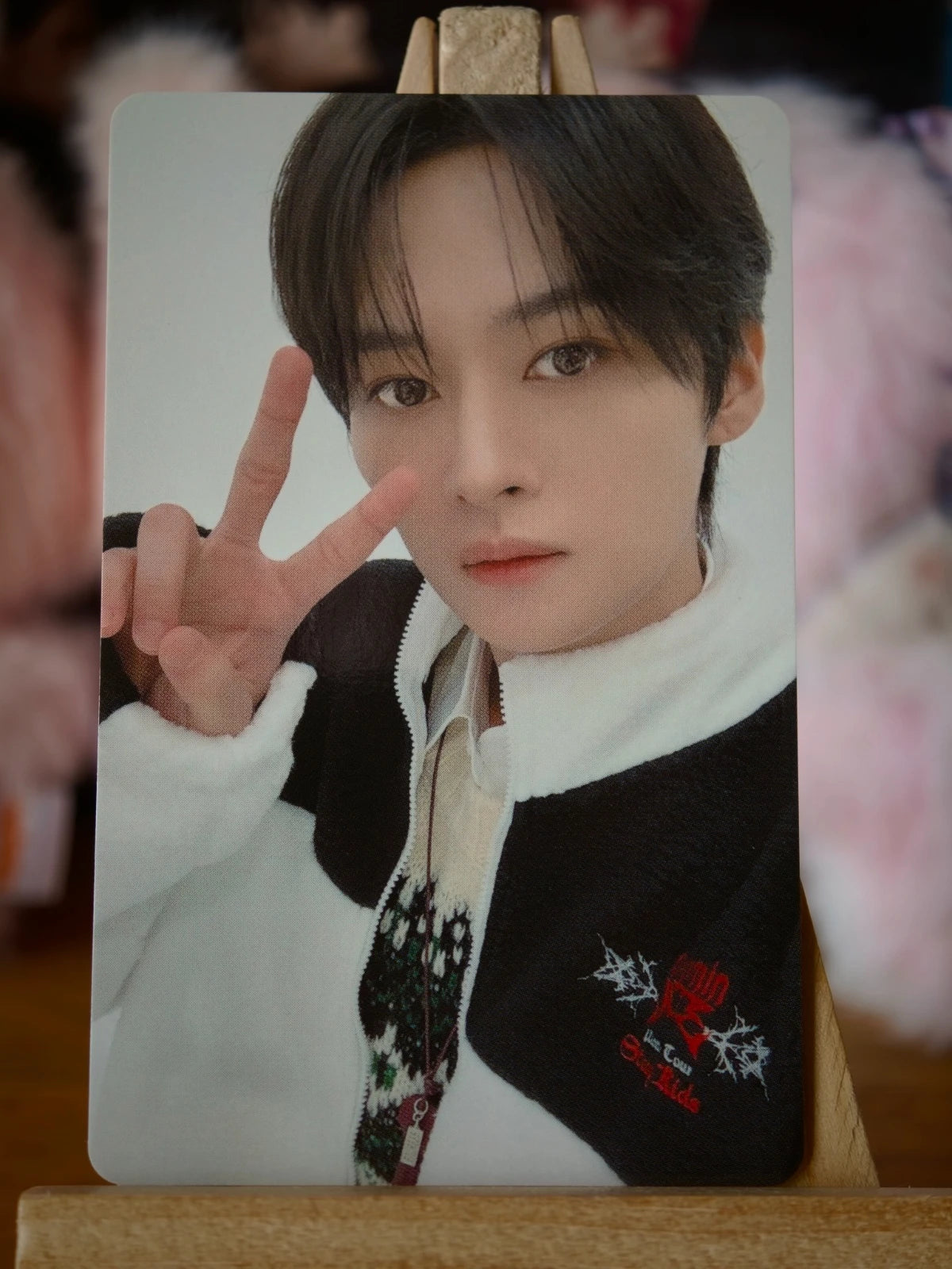 Stray Kids Lee Know GIANT Photocard (dominATE JAPAN Tokyo A, 14 November 2024) — front