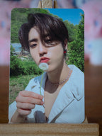 Stray Kids Han MAXIDENT Photocard (T-CRUSH Design) — front