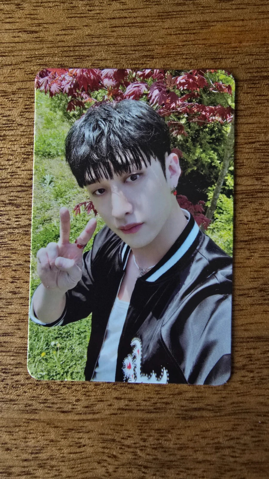 Stray Kids Bang Chan MAXIDENT Photocard (T-CRUSH Design) — front