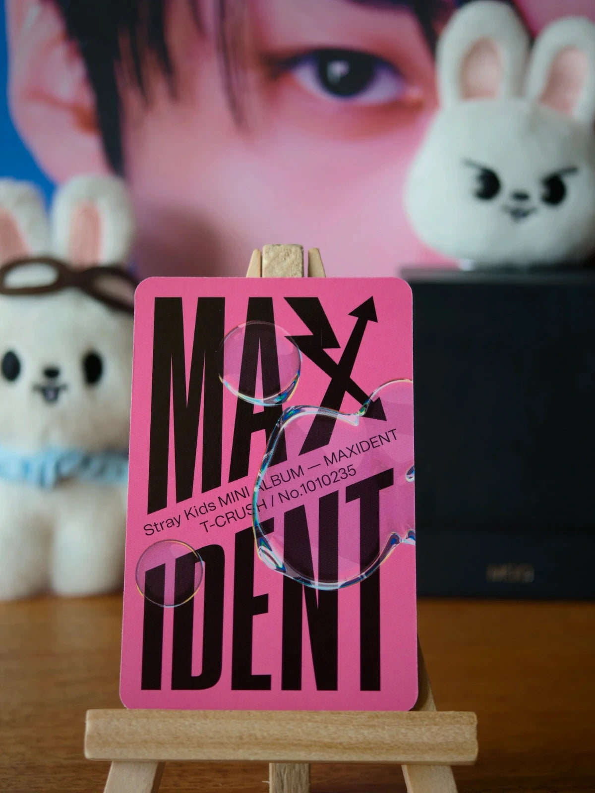 Stray Kids Lee Know MAXIDENT Photocard (T-CRUSH Design) — reverse