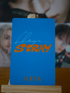 Stray Kids Bang Chan DICON D’FESTA Mini Edition Photocard (Globe Portrait) — reverse with printed signature design