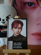 Stray Kids Lee Know ODDINARY Photocard (ID Card) — front