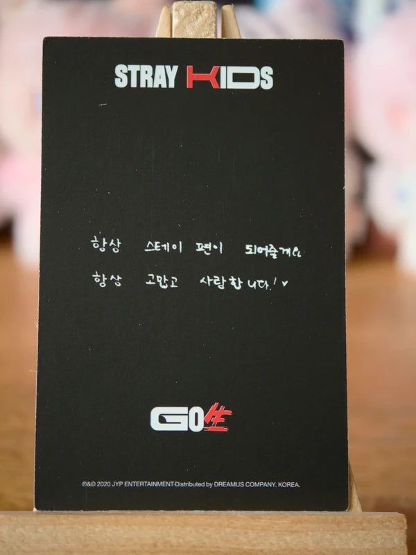 Stray Kids I.N GO LIVE Photocard (Concept B) - reverse
