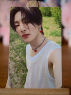 Stray Kids I.N MAXIDENT Photocard (T-CRUSH Design) - front