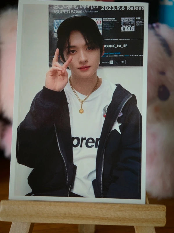 Stray Kids Lee Know 5-STAR Dome Tour 2023 IC Card Sticker (Sony Music Shop Blu-ray Benefit) — printed photo design