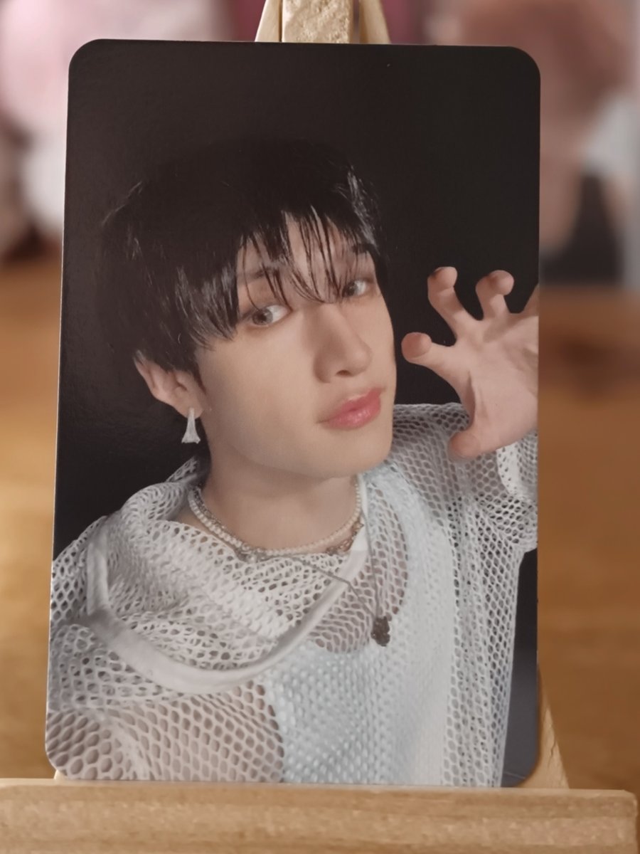 Stray Kids Bang Chan – ATE Photocard (Mesh Top Paw Pose) — front