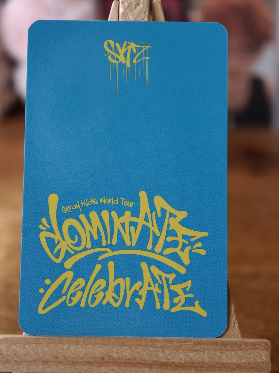 Stray Kids Bang Chan dominATE : celebrATE Merchandise Photocard — reverse