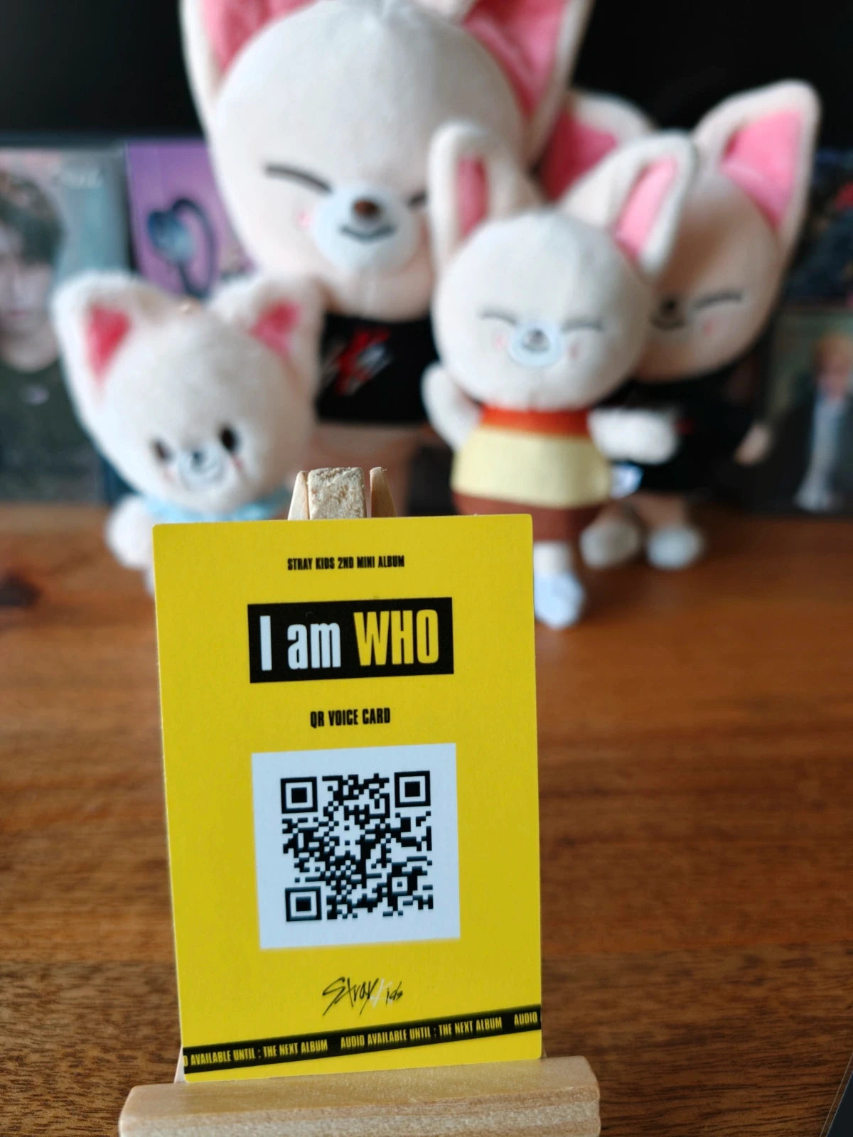 Stray Kids I.N I am WHO Photocard — reverse