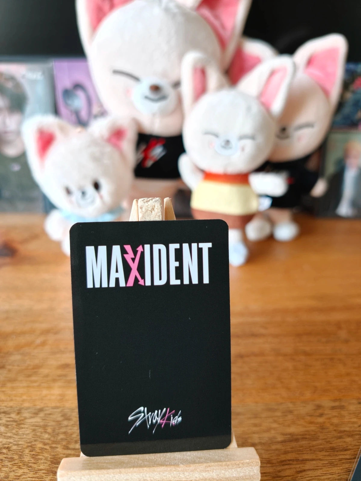Stray Kids I.N MAXIDENT Photocard (KTOWN4U POB) — reverse