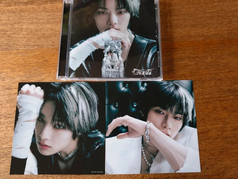 Stray Kids I.N GIANT Album (Fanclub Limited Ver., No Photocards) — album and pictured inserts