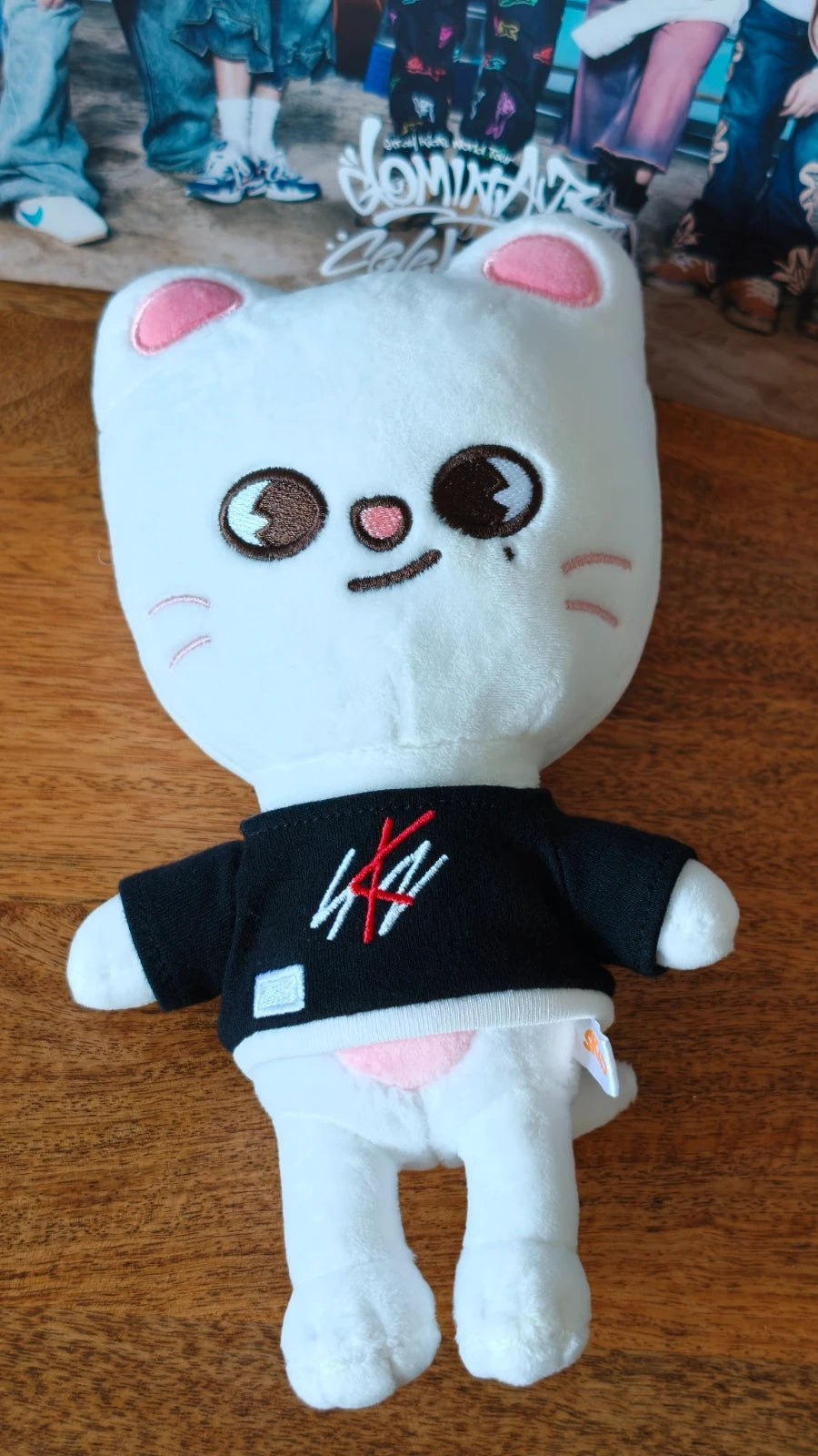Stray Kids SKZOO Jiniret Plush — front view