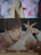 Stray Kids Seungmin dominATE in Japan 2024 Photo Sticker (Online Lottery, Landscape Design) — printed photo side