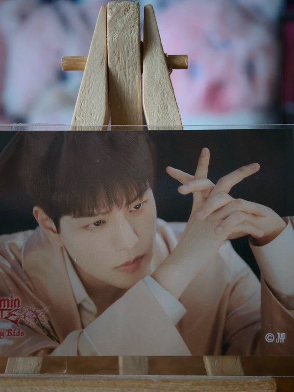 Stray Kids Seungmin dominATE in Japan 2024 Photo Sticker (Online Lottery, Landscape Design) — printed photo side